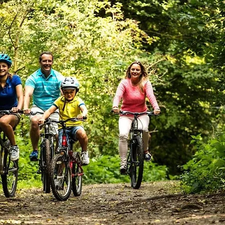 New! Sun And Surf Escape - Free Bikes, Free Surfboards Apartment